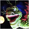 Hugo et le dragon : photo