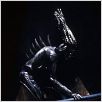La Mutante : photo