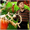 Charlie et la chocolaterie : Photo Freddie Highmore, Tim Burton