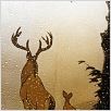 Bambi : photo Walt Disney