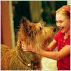 Winn-Dixie mon meilleur ami : photo AnnaSophia Robb, Wayne Wang