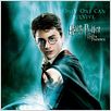 Harry Potter et l'Ordre du Phénix : affiche Daniel Radcliffe, David Yates, Ralph Fiennes