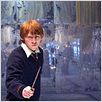 Harry Potter et l'Ordre du Phénix : photo David Yates, Rupert Grint