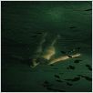Parc : photo Arnaud des Pallieres, Jean-Marc Barr