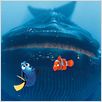 Le Monde de Nemo : photo