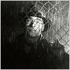 Europa : photo Jean-Marc Barr, Lars von Trier