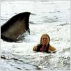 Les Dents de la Mer : photo Steven Spielberg
