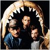 Les Dents de la Mer : photo Richard Dreyfuss, Robert Shaw, Steven Spielberg