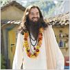 Love Gourou : photo Marco Schnabel, Mike Myers