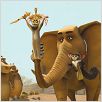 Madagascar 2 : photo Eric Darnell