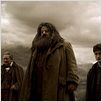 Harry Potter et le Prince de sang mêlé : photo Daniel Radcliffe, David Yates, Jim Broadbent, Robbie Coltrane