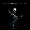The Punisher - Zone de guerre : affiche Lexi Alexander, Ray Stevenson