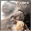 La Harpe de Birmanie : Affiche