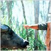 Crocodile Dundee : photo Paul Hogan, Peter Faiman
