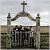 Mariage à l'Islandaise : photo Björn Hlynur Haraldsson, Ólafur Darri Ólafsson, Thröstur Leó Gunnarsson, Valdis Oskarsdottir