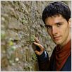 Merlin : photo Colin Morgan