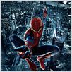 The Amazing Spider-Man : affiche