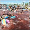 Piranha 3D : photo