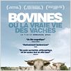 Bovines : affiche