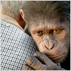 La Planète des singes : les origines : Photo Rupert Wyatt
