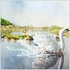 Le Vilain petit canard : photo