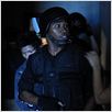 The Raid : photo