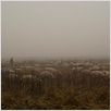 Hors des sentiers battus : photo