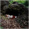 A Pas de Loup : photo