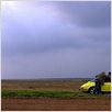 100 Porsches and Me : photo