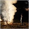 Près du feu : photo