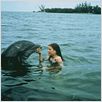 La Grenouille et la Baleine : photo