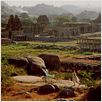 Hanuman : photo