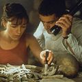 Le Tombeau : photo Antonio Banderas, Jonas McCord, Olivia Williams