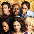 Weeds : photo Elizabeth Perkins, Justin Kirk, Kevin Nealon, Mary-Louise Parker, Romany Malco