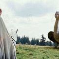 Eragon : photo Ed Speleers, Stefen Fangmeier