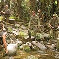 Tonnerre sous les Tropiques : Photo Alpa Chino, Ben Stiller, Brandon T. Jackson, Jack Black, Jay Baruchel