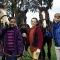 Photo : Grand galop