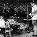 Hatari! : photo Elsa Martinelli, Howard Hawks, John Wayne