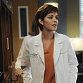 Grey's Anatomy : Photo Nora Zehetner