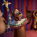Madagascar 3, Bons Baisers D’Europe : Photo Eric Darnell