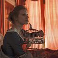 Mademoiselle Julie : Photo Jessica Chastain