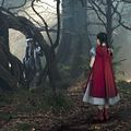 Into the Woods, Promenons-nous dans les bois : Photo Johnny Depp