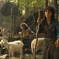 Robin des bois, la véritable histoire : Photo Géraldine Nakache