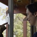 The Gift : Photo Jason Bateman, Rebecca Hall