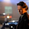 Cell 213 : Photo Bruce Greenwood