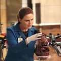 Photo Emily Deschanel