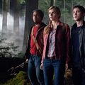 Percy Jackson : La mer des monstres : Photo Alexandra Daddario, Brandon T. Jackson, Logan Lerman