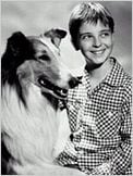 Lassie