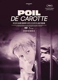 Poil de Carotte