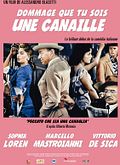 Dommage que tu sois une canaille